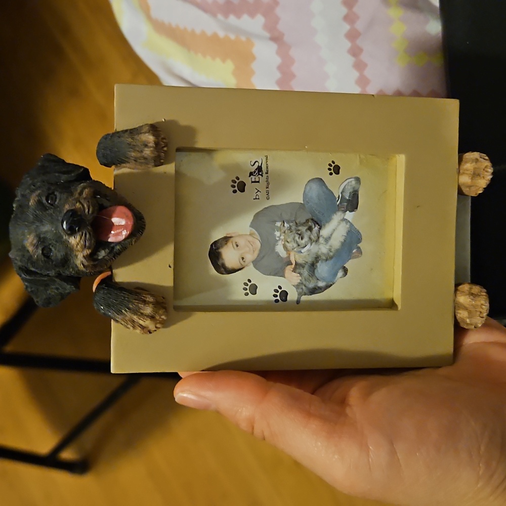 E&S realistic photo dog pets picture - Rottweiler Dog 2.5 x 3.5'' frame